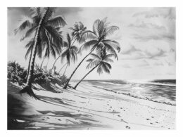 Beach Shore  balck & white  Canvas Art Print