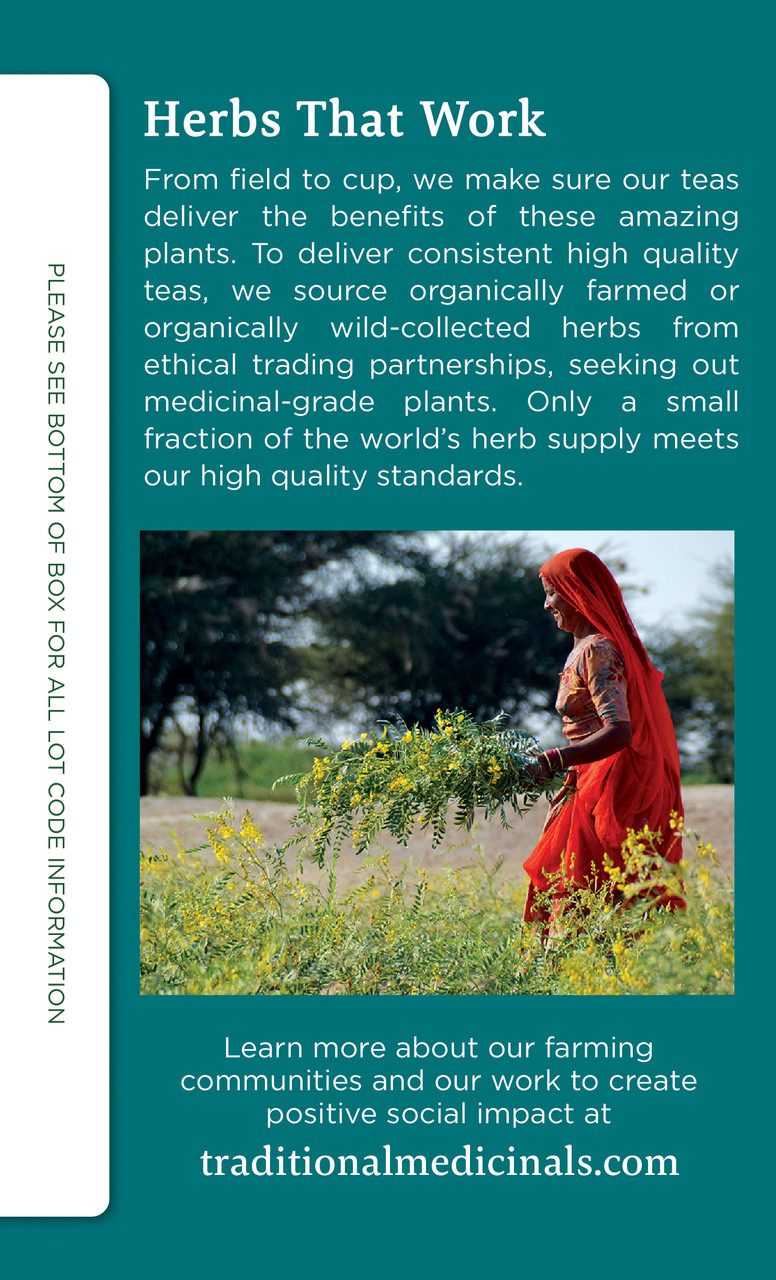 Traditional Medicinals Organic Peppermint Delight Probiotic Tea 16 Tea Bags (Pack of 6 Boxes) - Image 3