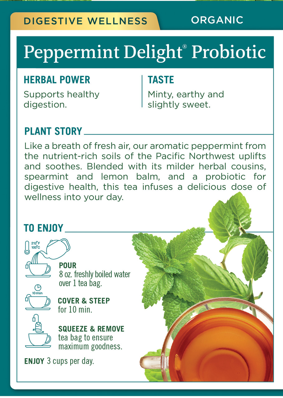 Traditional Medicinals Organic Peppermint Delight Probiotic Tea 16 Tea Bags (Pack of 6 Boxes) - Image 2
