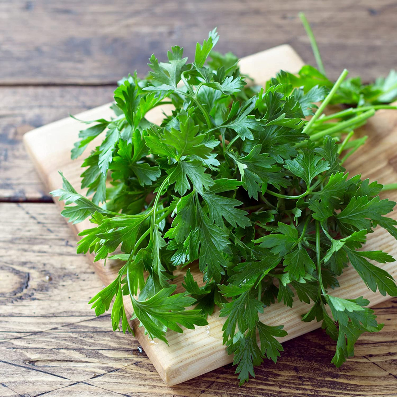 Frontier Parsley Leaf Flake (1x1LB ) - Image 3