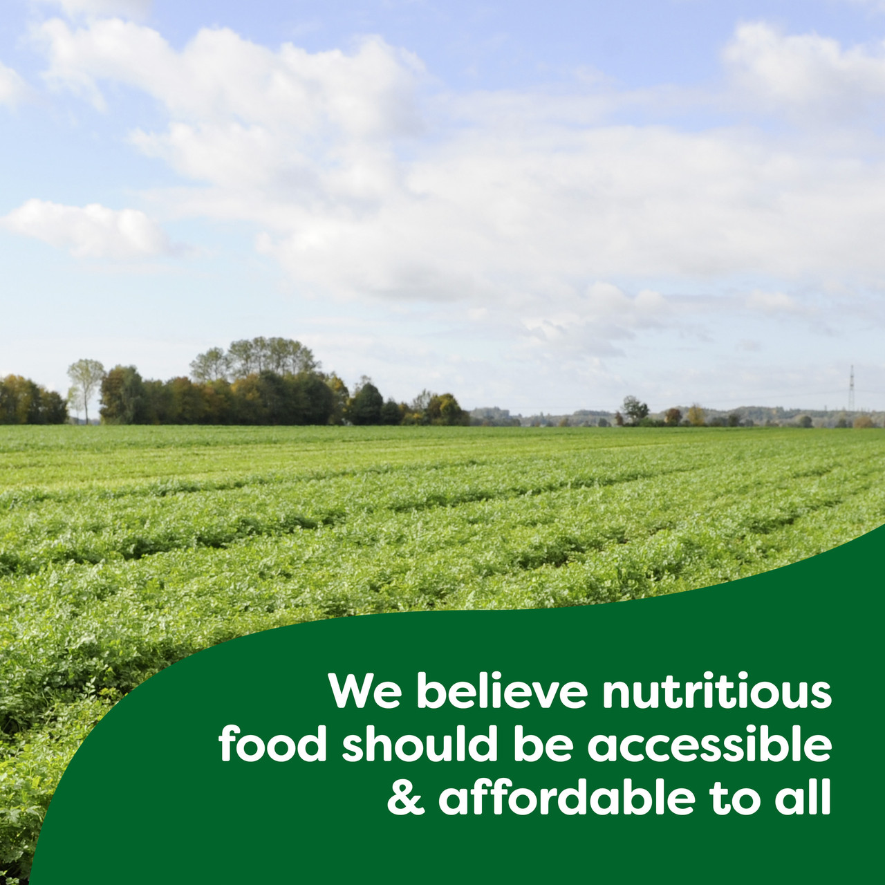 Knorr Pasta Sauces Garlic Herb Sauce Mix (12x1.6Oz) - Image 5