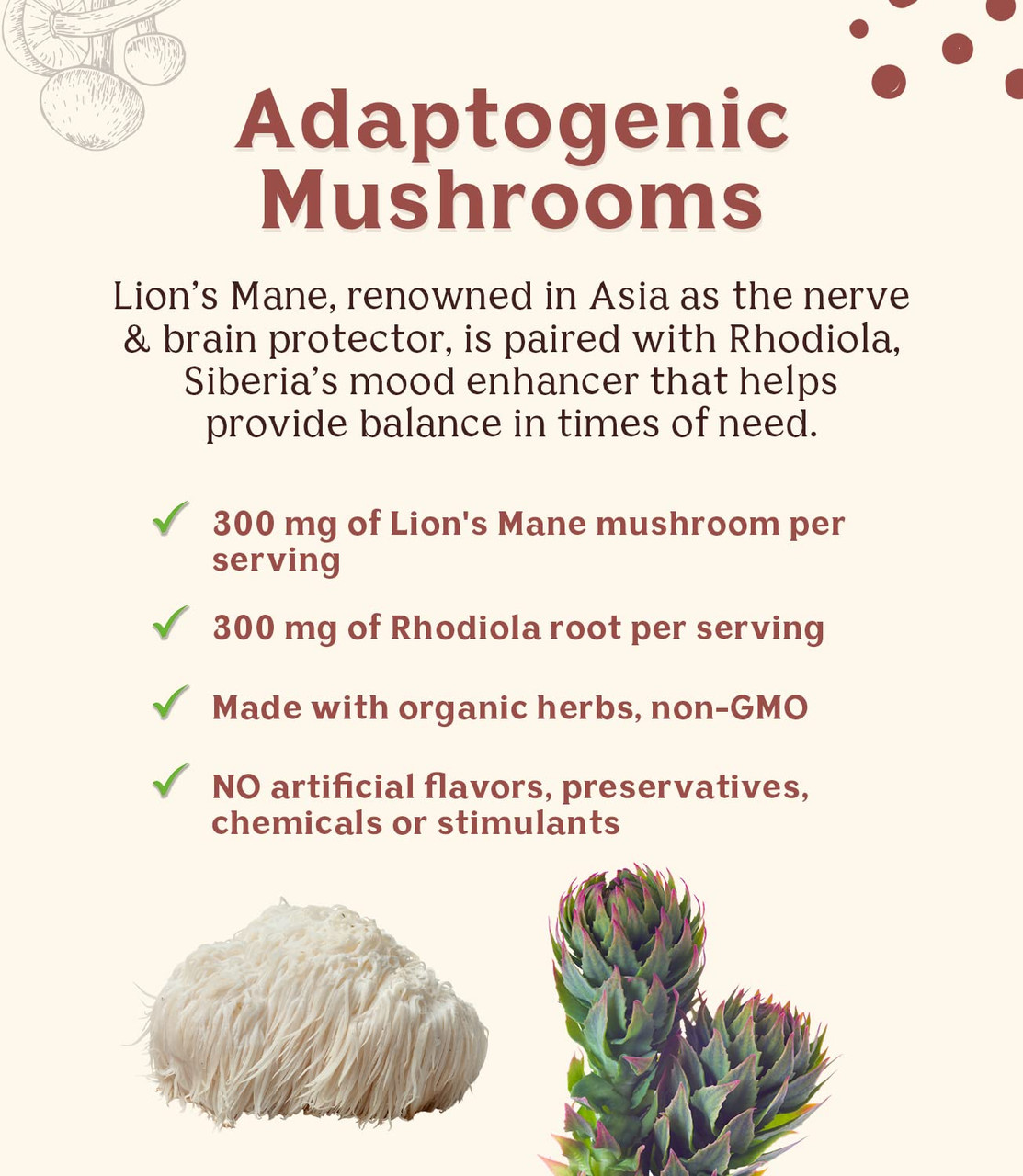 Teeccino Lion's Mane Rhodiola Mushroom Herbal Tea 10 Tea Bags (Pack of 6 Boxes) - Image 5