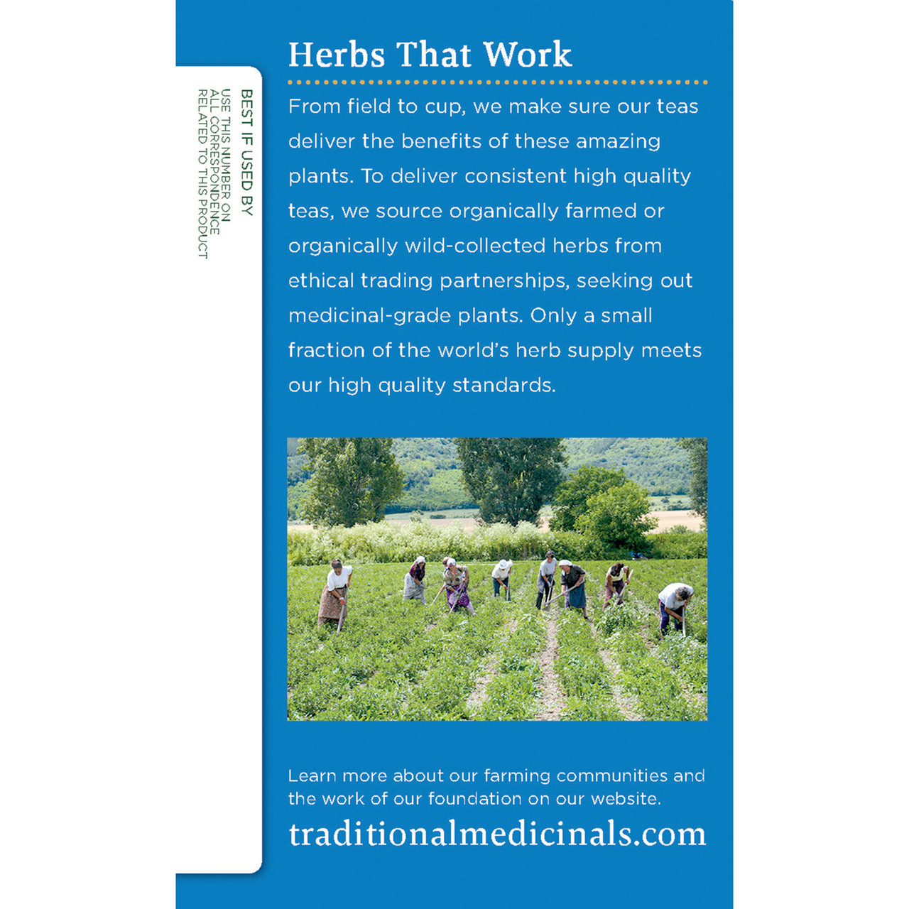 Traditional Medicinals Organic Echinacea Plus Tea (6x16 BAG ) - Image 3