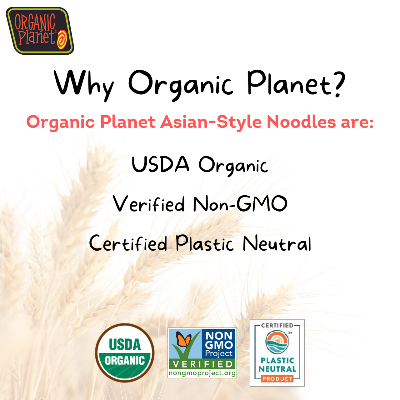 Great Eastern Sun Traditional Soba (12x8 Oz) - Image 4