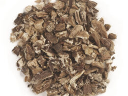 Frontier Herb Burdock Root C/S (1x1lb)