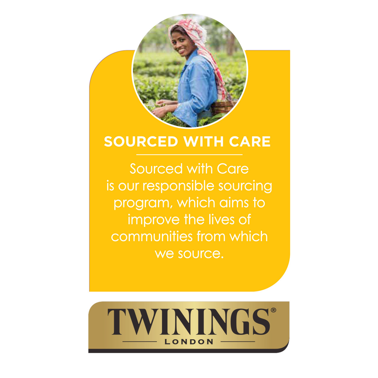 Twinings Earl Grey Classic (6x50 EA) - Image 9