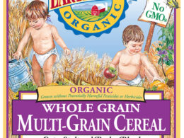 Earth's Best Multi Grain Cereal (12x8 Oz)