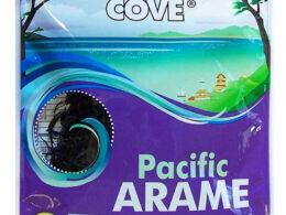 Great Eastern Sun Ec Silver Grade Pacific Arame (6x1.76OZ )