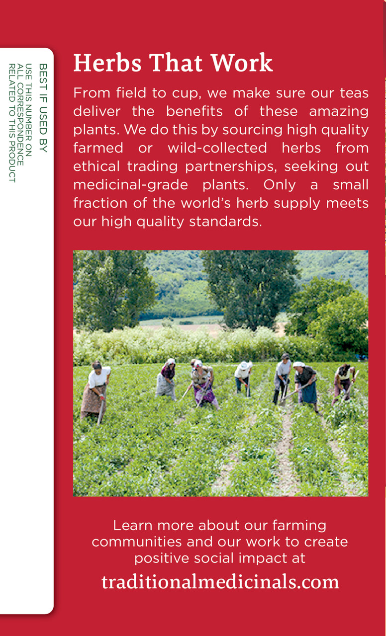 Traditional Medicinals Gypsy Cold Care Herb Tea (6x16 Bag) - Image 4