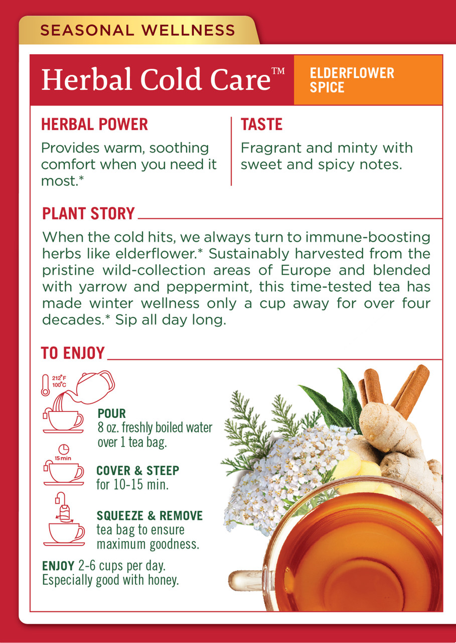 Traditional Medicinals Gypsy Cold Care Herb Tea (6x16 Bag) - Image 2