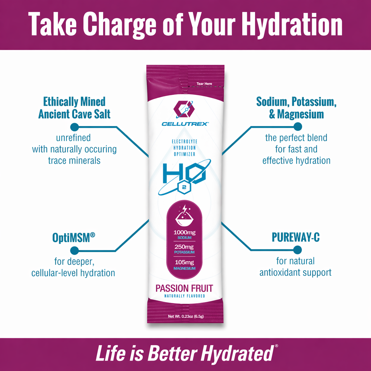 H2O ELECTROLYTES™ - Passion Fruit | Zero Sugar Electrolyte Powder - Image 4